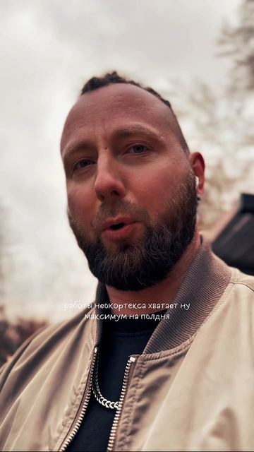 Неокортекс и амигдала