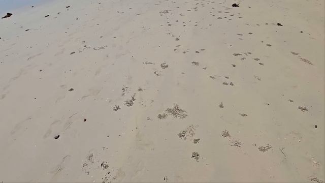 Паттайя. В Первый Раз на Пляже Танцующей Девушки. Ищем Шашлык на Рынке с Мельницей на Джомтьене