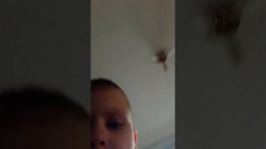 называйте песни включу