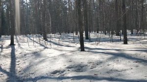 В лесу: грязь человеческая. Третья Мировая уже идёт? Есть мнение. Фашизм как инструмент капиталистов