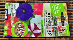 УТРО 6 АПРЕЛЯ 🌞 РАССАЖИВАЮ ПЕТУНИЮ🌺