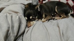 рома😄😃🤣🙂😆😁😂😅