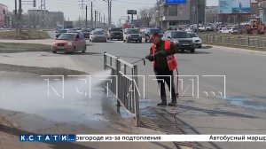 Месячник по благоустройству официально стартовал в Нижнем Новгороде