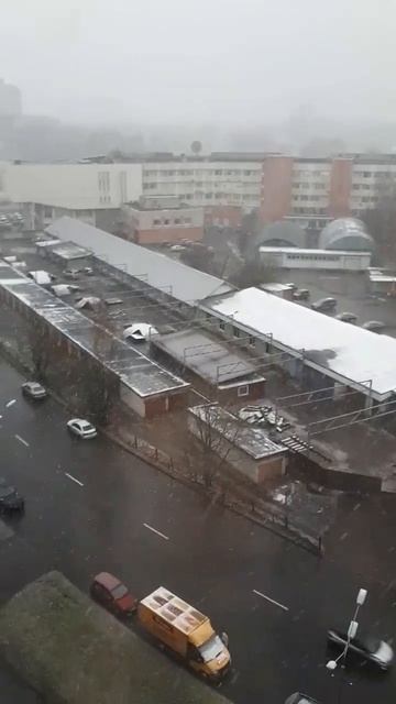 16 ноября 2023 г.