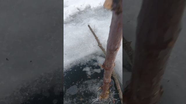 10 января 2026.пляж чугунка. первое закаливание в  26 году