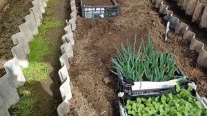 Начинаем сезон весенних работ