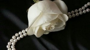 БУСИНА-ПАВЕЛ КАШИН