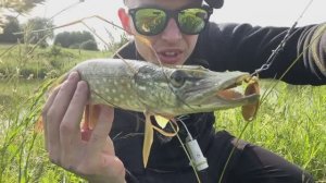 ЩУКА АТАКОВАЛА ВЕРТУШКУ НЕ НАЧАВ ВЕРТЕТЬСЯ  Рыбалка на спиннинг