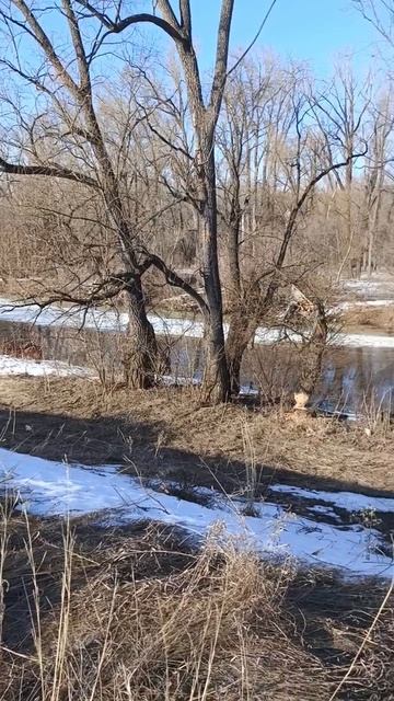 последняя зимняя рыбалка.