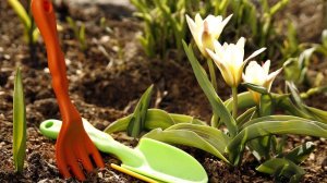 На даче весной! Купили лестницу,чиним проводку,забор,теплицу