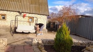 ЖИЗНЬ В СЕЛЕ:продолжение/ВНУКА ПРОВОДИЛИ/ОТКРЫЛА РОЗЫ