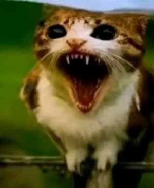 факты о нас