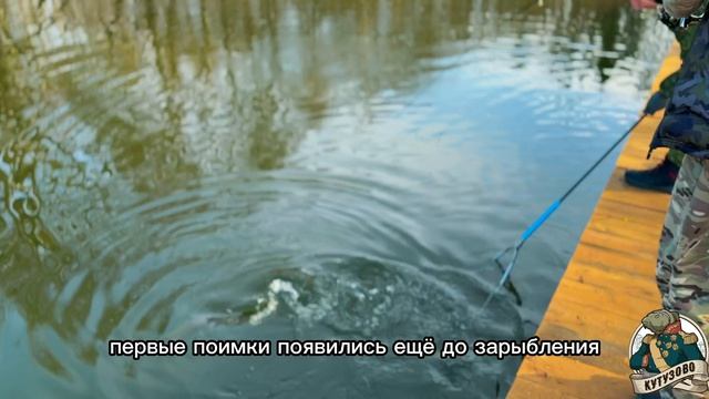 Запуск форели на лесном пруду 06.04.26