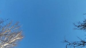 самый защищённая школа часть 2