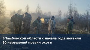 В Тамбовской области с начала года выявили 50 нарушений правил охоты