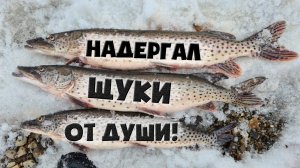 Лучшая Рыбалка на Щуку Зимняя Рыбалка на Махалку Русская Рыбалка Онлайн на RUTUBE Смотреть Бесплатно