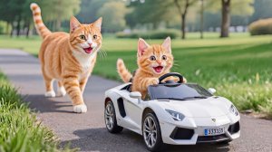 😹Мама кошечка смотрит как катается на машинке её маленький котёночек🔥