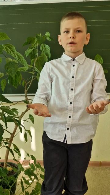 Ерофеенко Артур - Родина