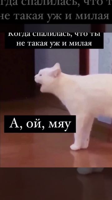 Ой) Подписываемся;)