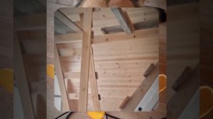 1000055184.mp4 (Собака наблюдает за устройством лестницы на 2-ой этаж в доме А-фрейм)