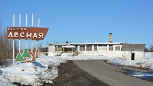 Мой родной поселок  Лесной.
