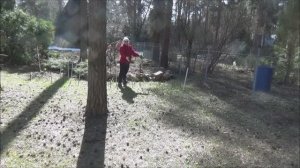 Дела садовые. Мужчины ищут воду. Вернемся к нашим баранам.