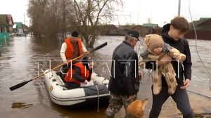 Паводок в Кулебакском районе смывал автомобильные мосты и затапливал жилые дома