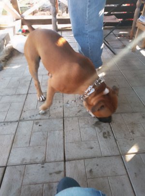 ПРОСТО СНИМАЮ ВИДЕО