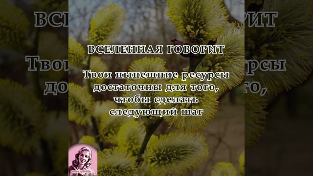 Послание на неделю 06.04.2026-12.04.2026