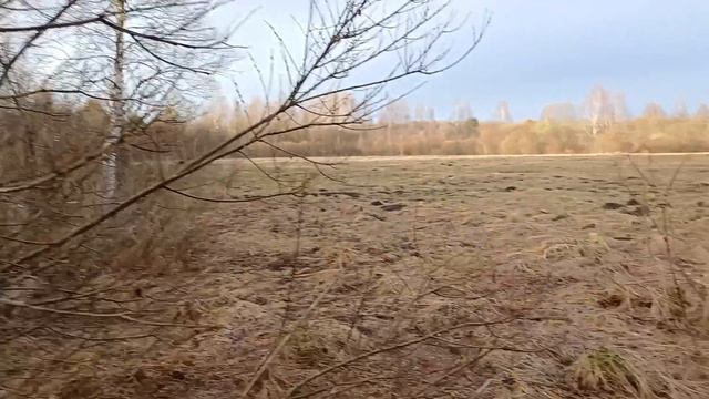 Скоро сбор природного эликсира 