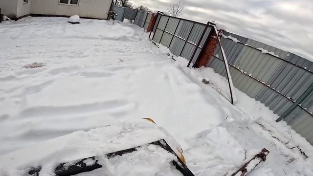 Выпустил страуса и началось ... ХУТОР В ЛЕСУ №975