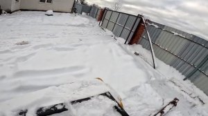 Выпустил страуса и началось ... ХУТОР В ЛЕСУ №975