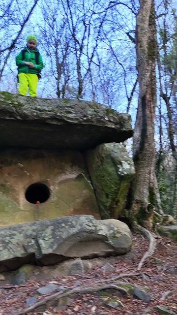 Новый Дольмен в Пшаде #юг #интересное #поход #загадочныйлес