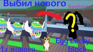Я открывал новые Egg Lucky Block и мне выпала секретка с шансом 1%...