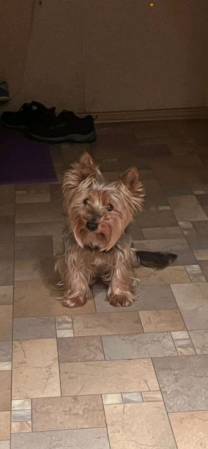 История канала