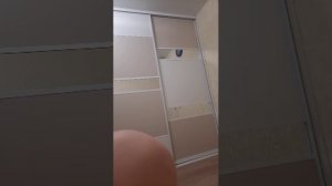 играем с Алисой в п или д