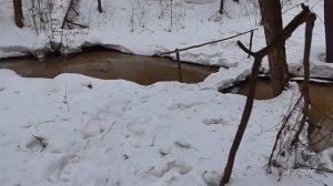 Романс "Я ВАС ЛЮБИЛ" (авторы слов и музыки неизвестны) (поёт Алексей Покровский)