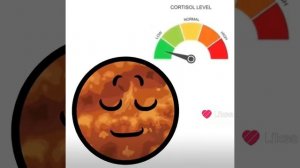 тип венкурий