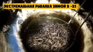 Лучшая Зимняя Рыбалка на Амуре 2026. Ловим на Паук. Лучшие Моменты. Тонна Рыбы Смотреть Онлайн 2026