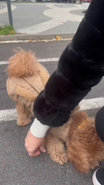 Тест на интеллект 🌞 🧸