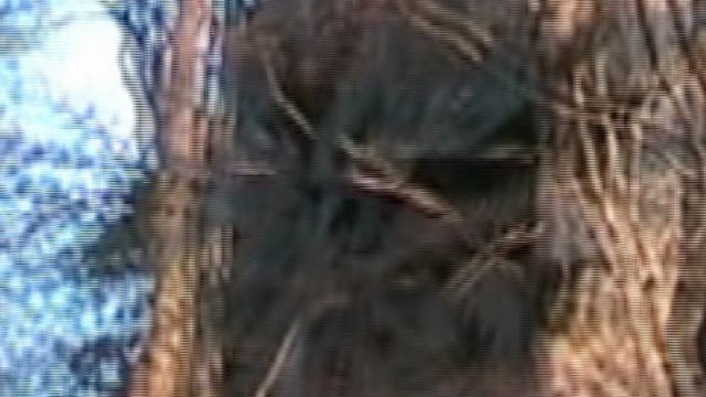 Путь к Монастырям Папай 2007 год