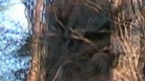 Путь к Монастырям Папай 2007 год