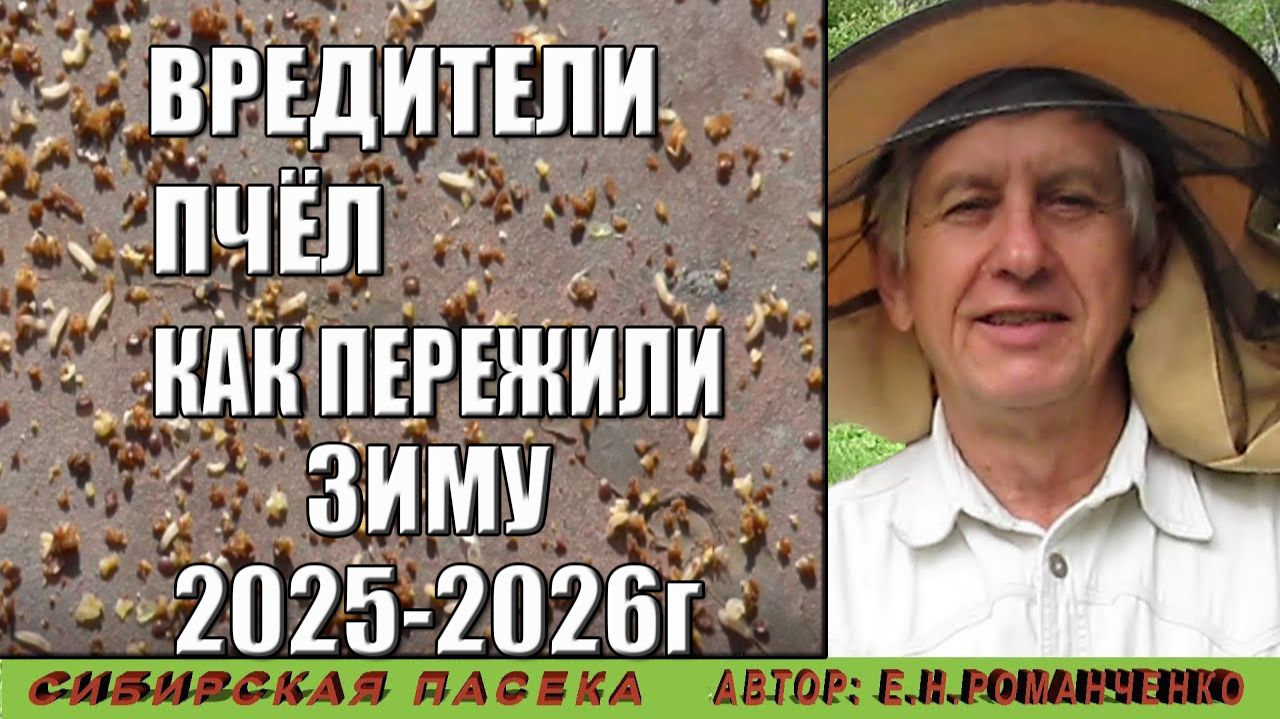 Вредители пчёл. Как пережил зиму 2025-2026г