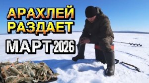 Ловля ОКУНЯ на озере АРАХЛЕЙ: зимняя рыбалка в марте 2026