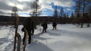 Зимние маршрутные учеты в Сохондинском заповеднике