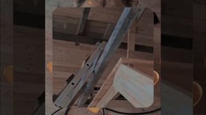 1000055176.mp4 (Собака наблюдает за устройством лестницы на 2-ой этаж в доме А-фрейм)