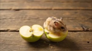 Лучшие и милые ASMR-видео с фруктовыми животными, созданные с помощью ИИ!