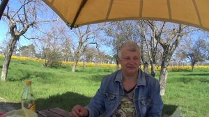 СОЛНЕЧНЫЙ ДЕНЬ