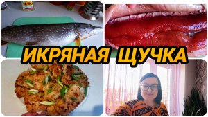 ФИЛЕ ЩУКИ НА УЖИН 😋👍 САЖАЮ ПЕКИНСКУЮ КАПУСТУ 🥬ОПЯТЬ НЕГАТИВНЫЕ КОММЕНТАРИИ 🤔