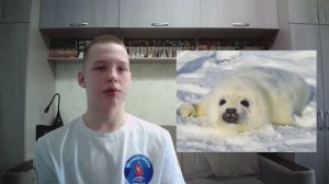 Видеовизитка Георгий Беспалов РГО Артика